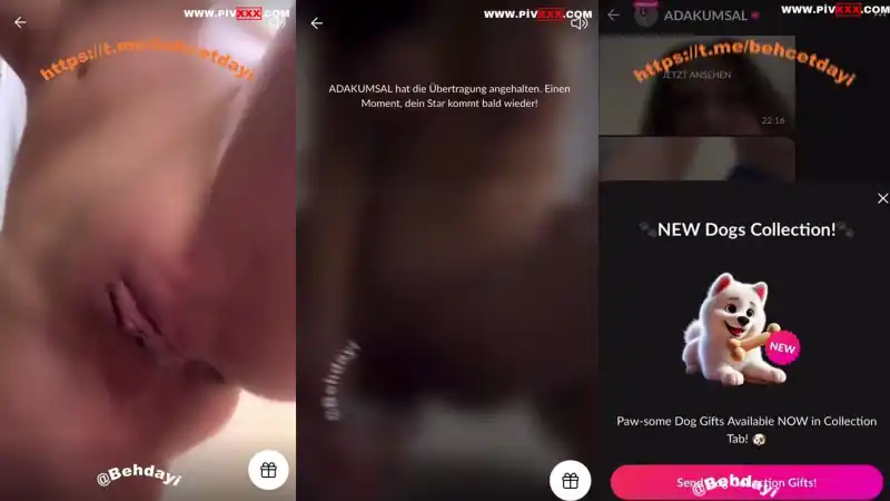 Ada kumsal tangoda amını parmaklayıp inliyor – Bedava türbanlı porn