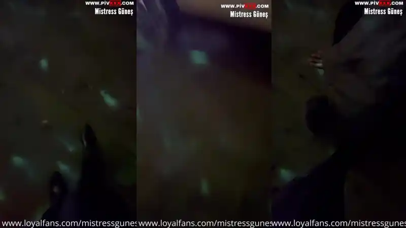 I fed my dog fruit under my feet on the street : porno türbanlı türk (HD)