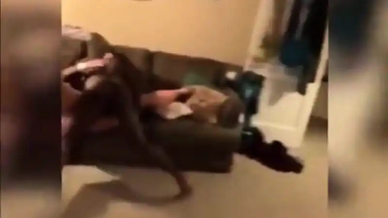 Koca karısını zenciye siktiriyor Türk ifşa reddit | porno türk türbanlı (HD)